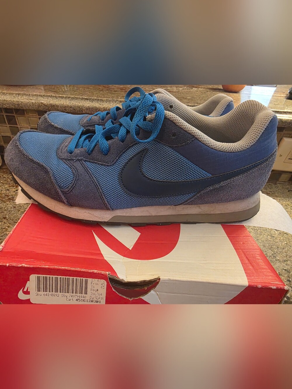 Nike Men's Navy and Blue Mesh Running Sneakers